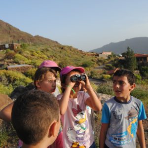 activiaddes escolares ludicas
