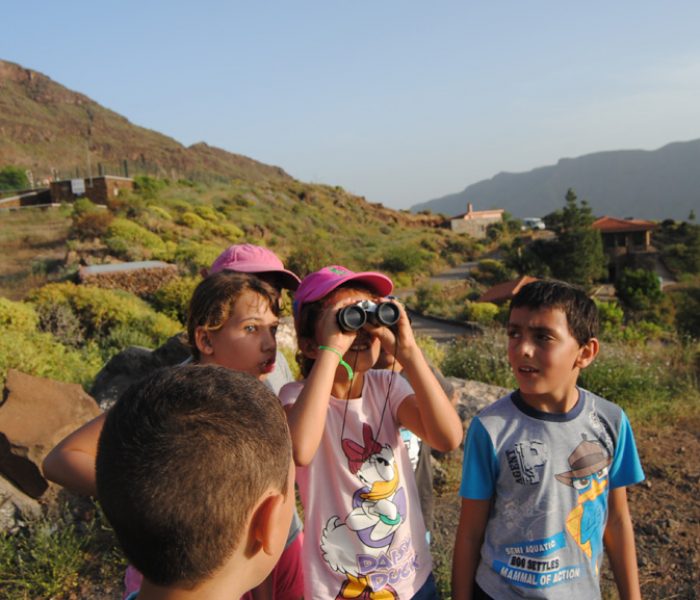 activiaddes escolares ludicas